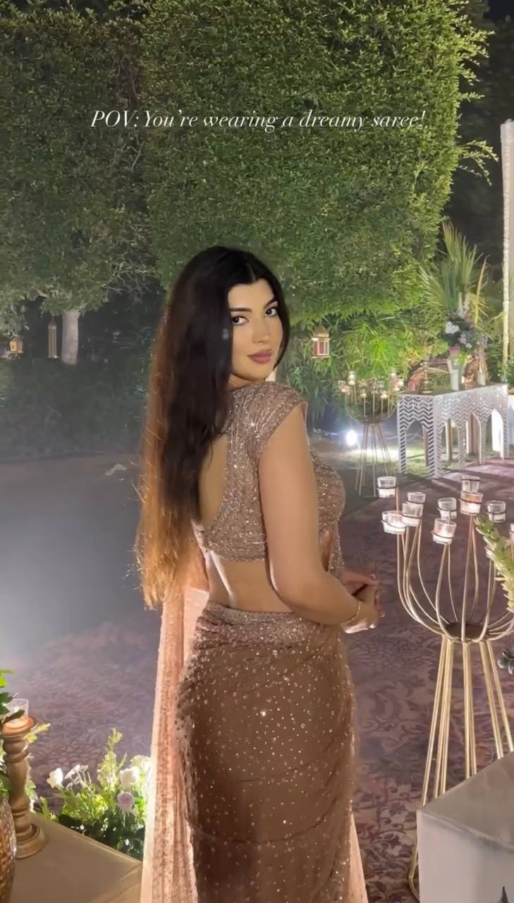 Golden Net Sequins Saree backview For Women