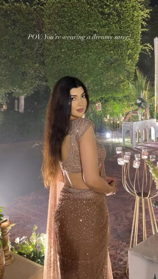 Golden Net Sequins Saree backview For Women